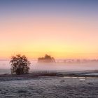 Nebelbänke im Herbst