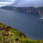 Nebelbank bei den Slieve League