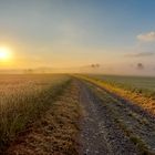 Nebelbank im Sonnenaufgang