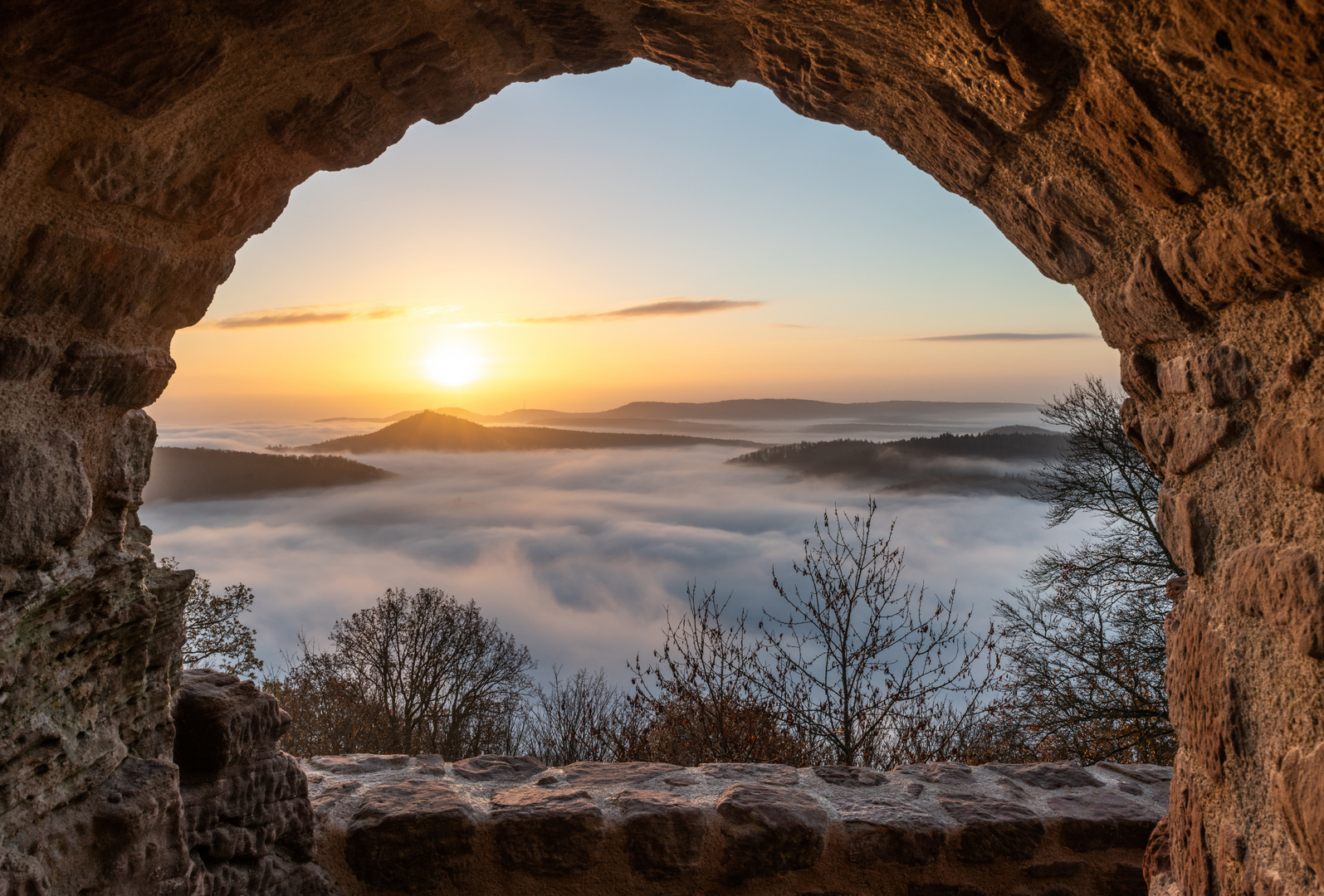 Nebelbedeckter Pfälzerwald