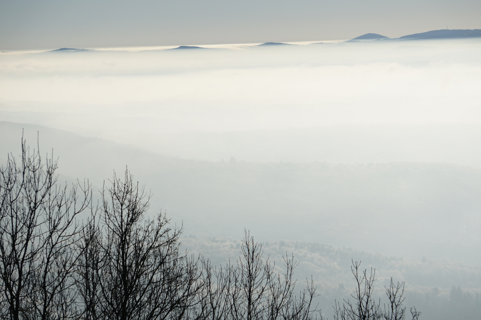 Nebelberge