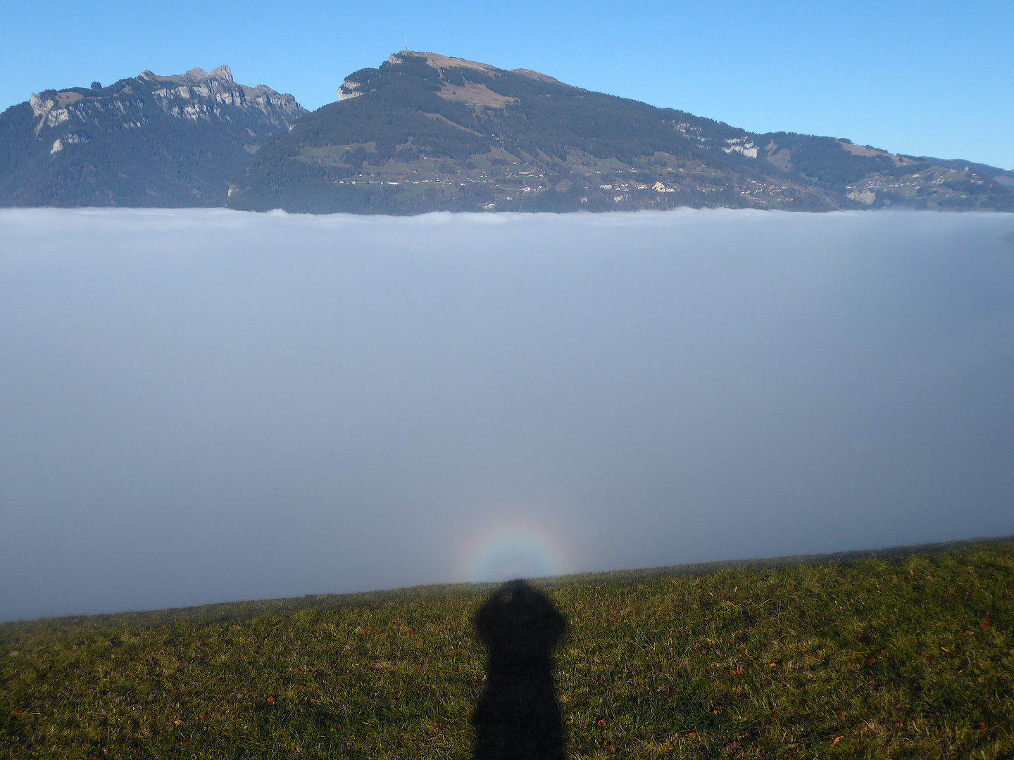 Nebelbogen am Rande des Nebelmeeres