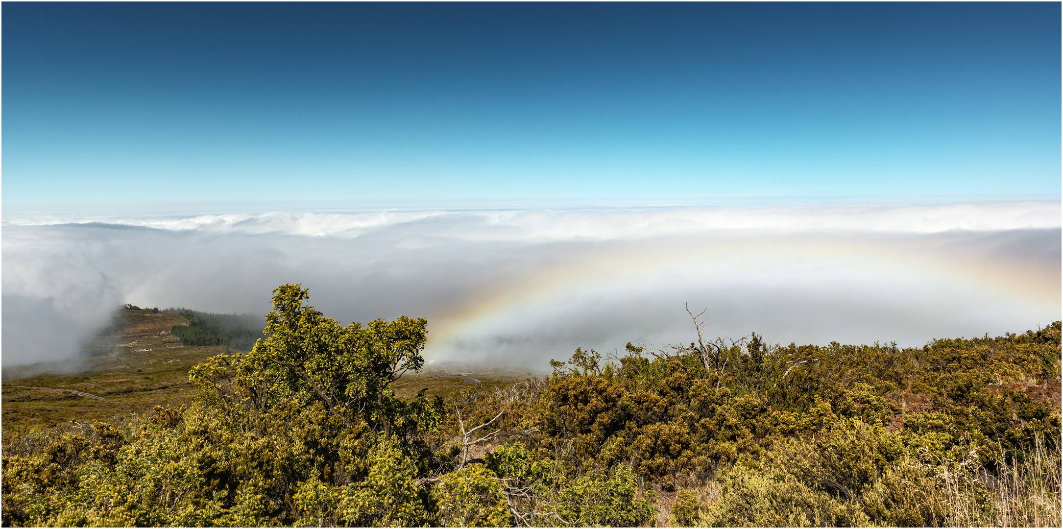 "Nebelbogen" - auf dem Weg zum Haleakala Krater, Maui, Hawaii