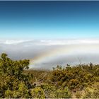 "Nebelbogen" - auf dem Weg zum Haleakala Krater, Maui, Hawaii