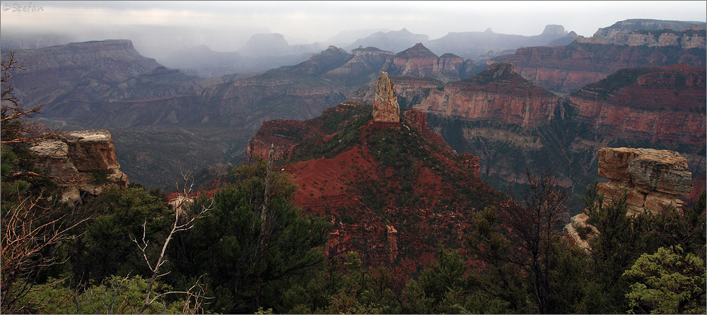 Nebelcanyon