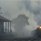 Nebeldampf im Bergland Ceylons VI