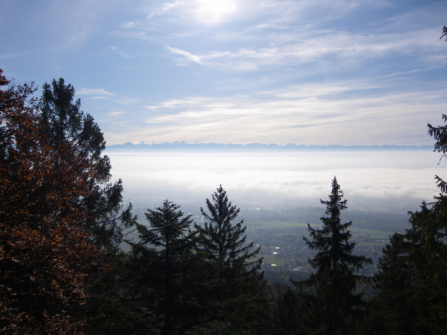 Nebeldecke über dem Seeland