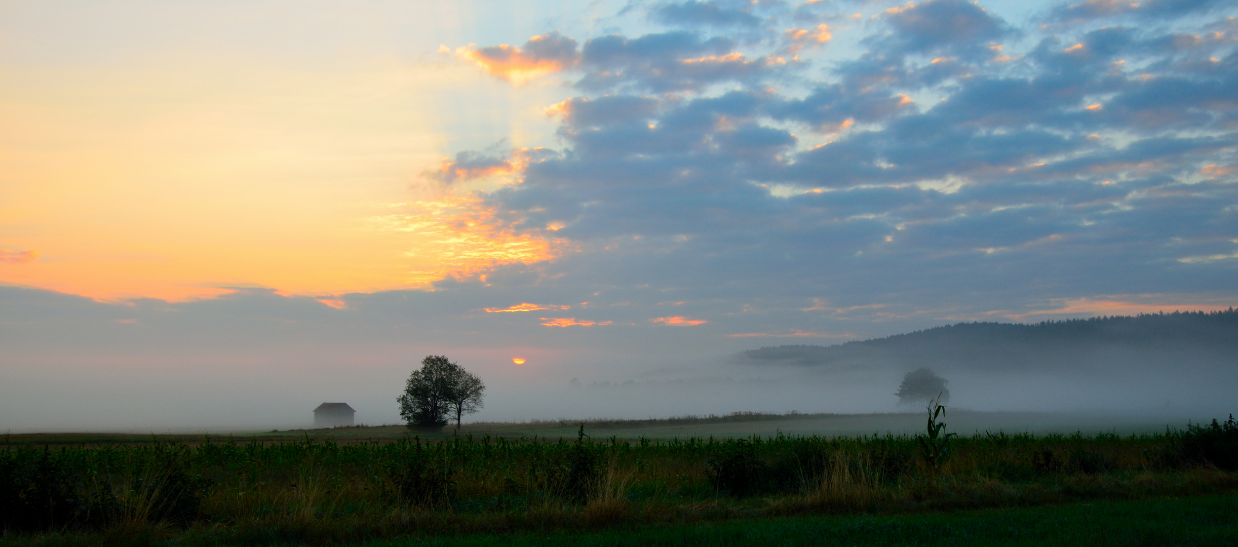 Nebeldunst am Morgen