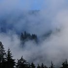 Nebeldurchblick
