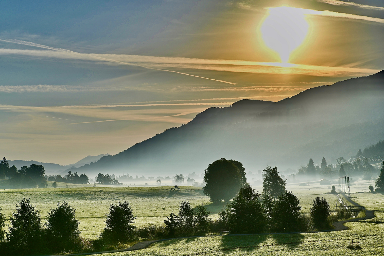 Nebelfeld am Morgen im Allgäu