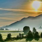 Nebelfeld am Morgen im Allgäu