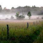 Nebelfelder