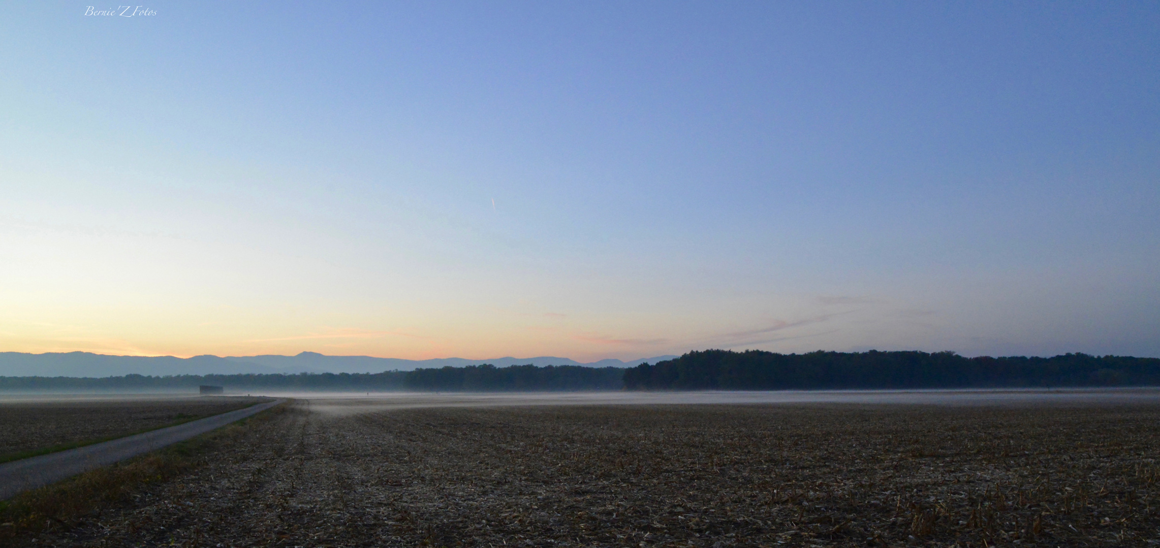 Nebelfelder - brouillard en formation