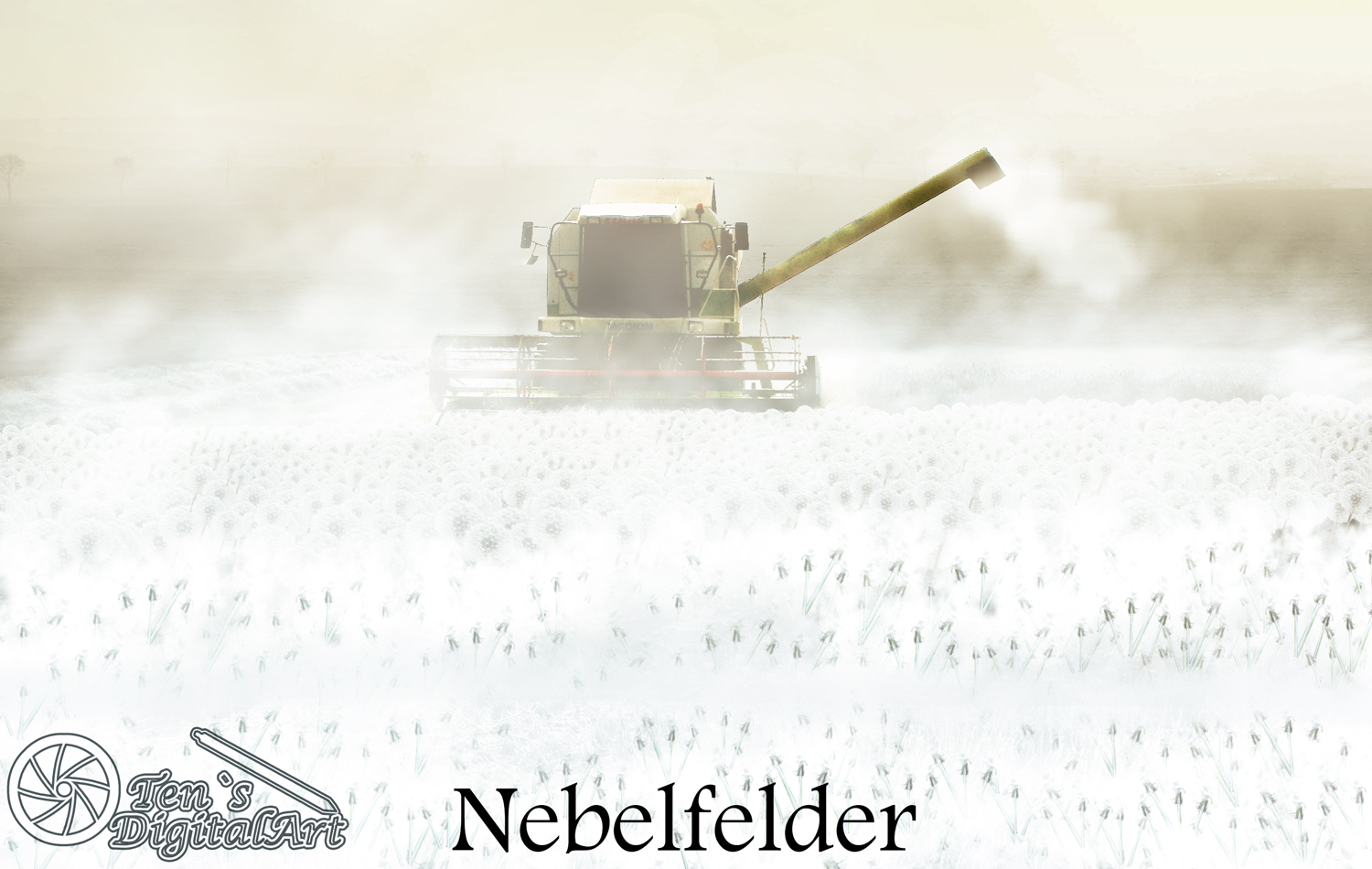 Nebelfelder