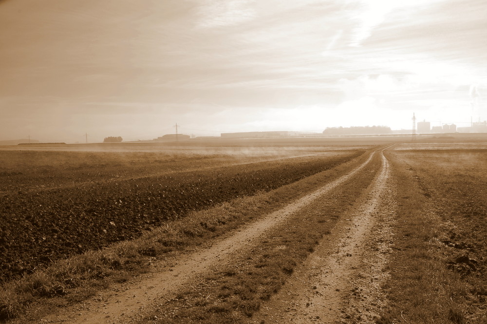 Nebelfelder (Sepia)