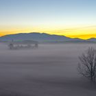 Nebelfelder über Wiesen nahe Abtsdorfer See