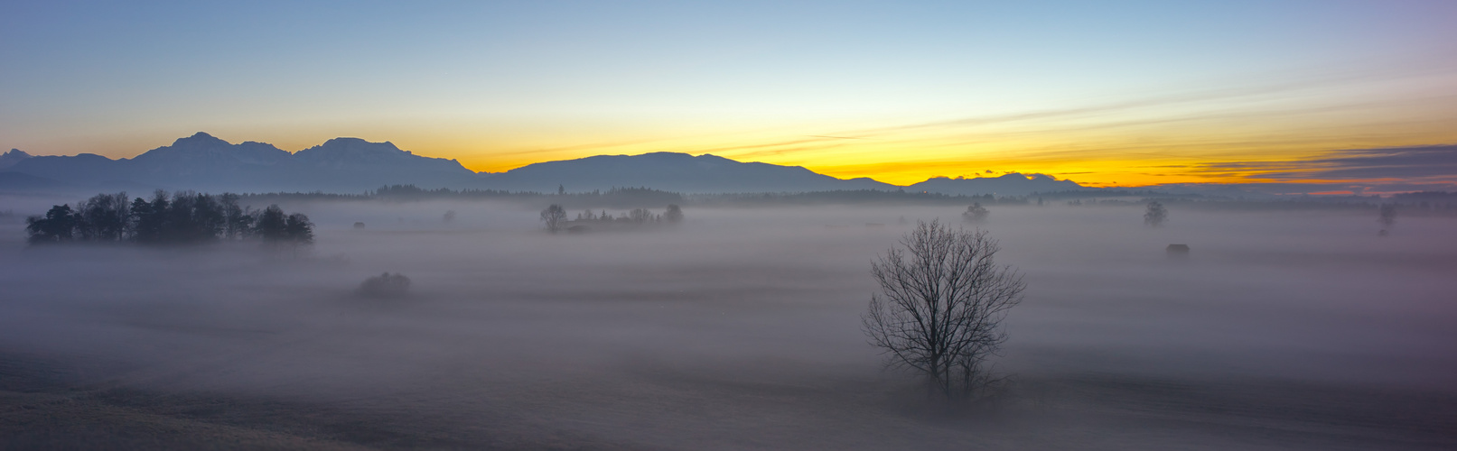 Nebelfelder über Wiesen nahe Abtsdorfer See