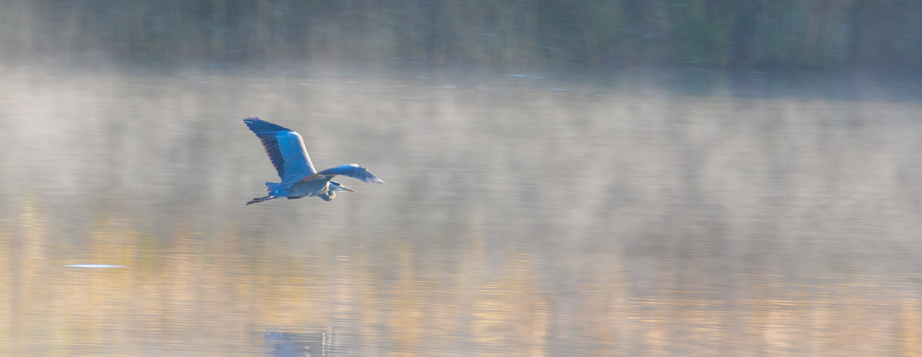 Nebelflug