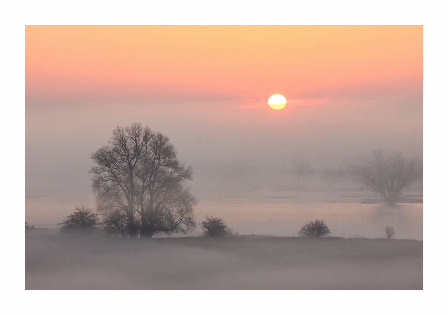 Nebelfluss am Morgen