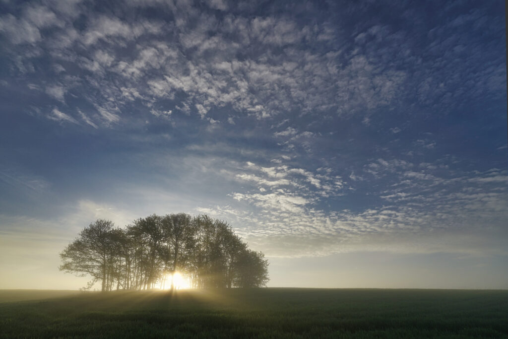 Nebelfotografie