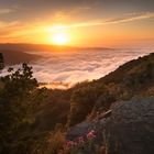 Nebelfront --- Bella Sicilia