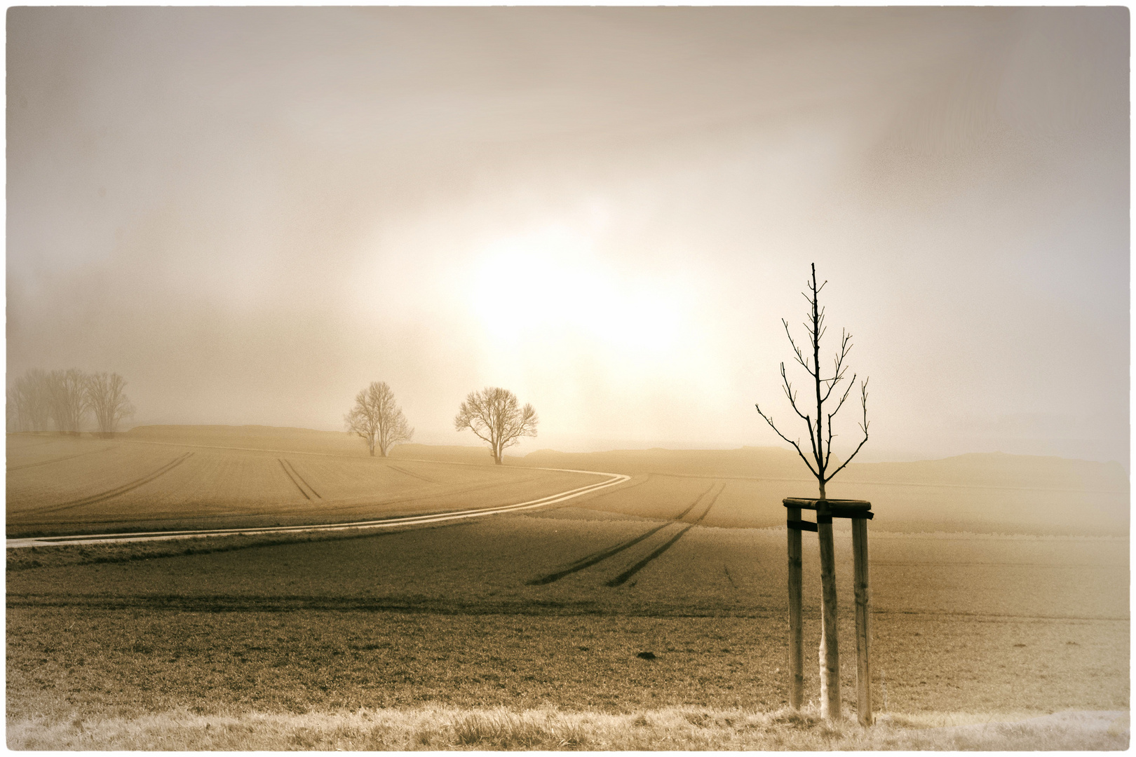 Nebelfront im Harzvorland