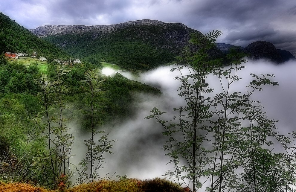   Nebelfront  Norwegen/Stalheim