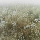 Nebelfrost - Frostnebel IV