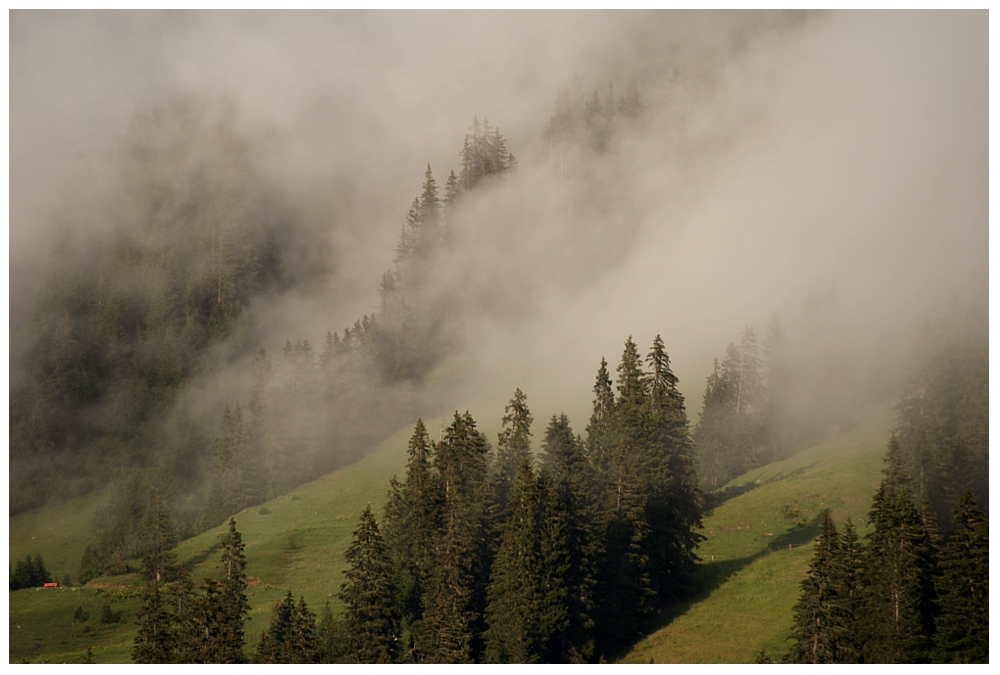 NEBELGEISTERNEBEL