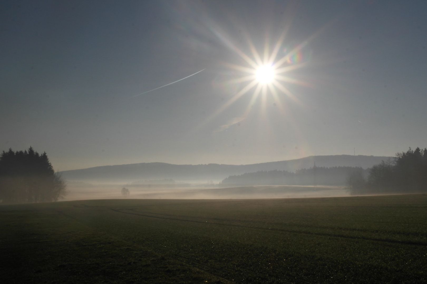 Nebelgrenze  am frühen Morgen im Fichtelgebirge