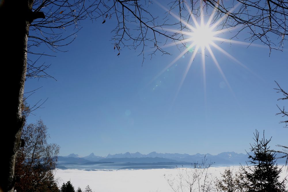 Nebelgrenze bei 900 Meter über Meer