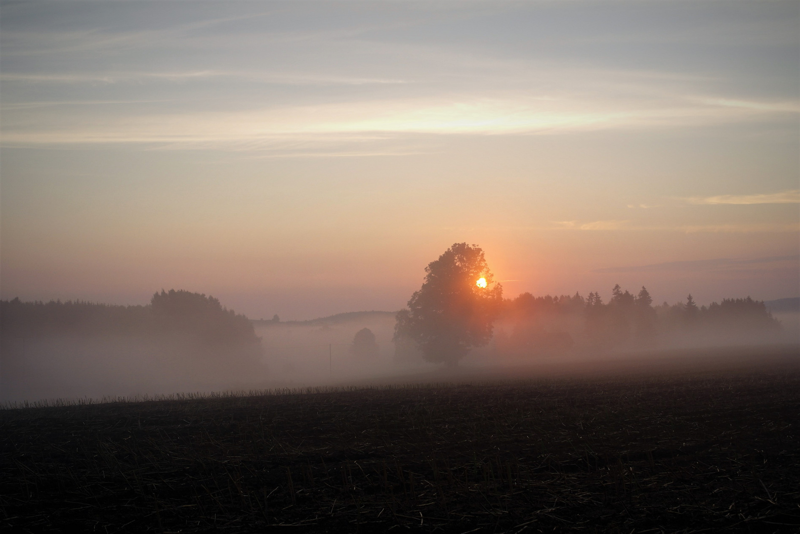 Nebelgrenze beim Sonnenaufgang am 28.7.18