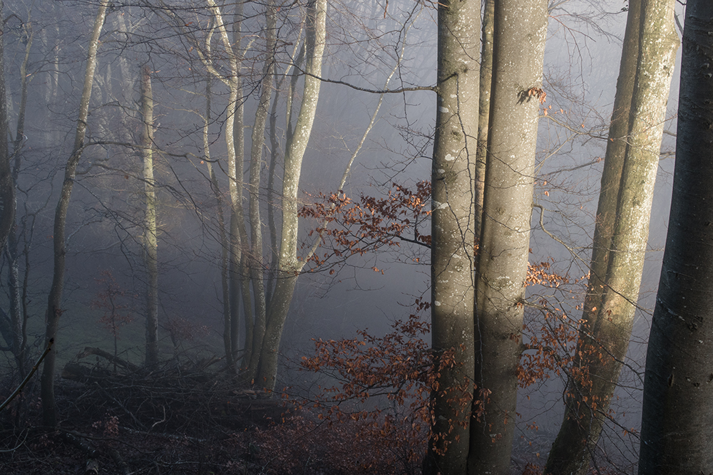 Nebelgrenze_Heinz Schaub