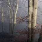 Nebelgrenze_Heinz Schaub