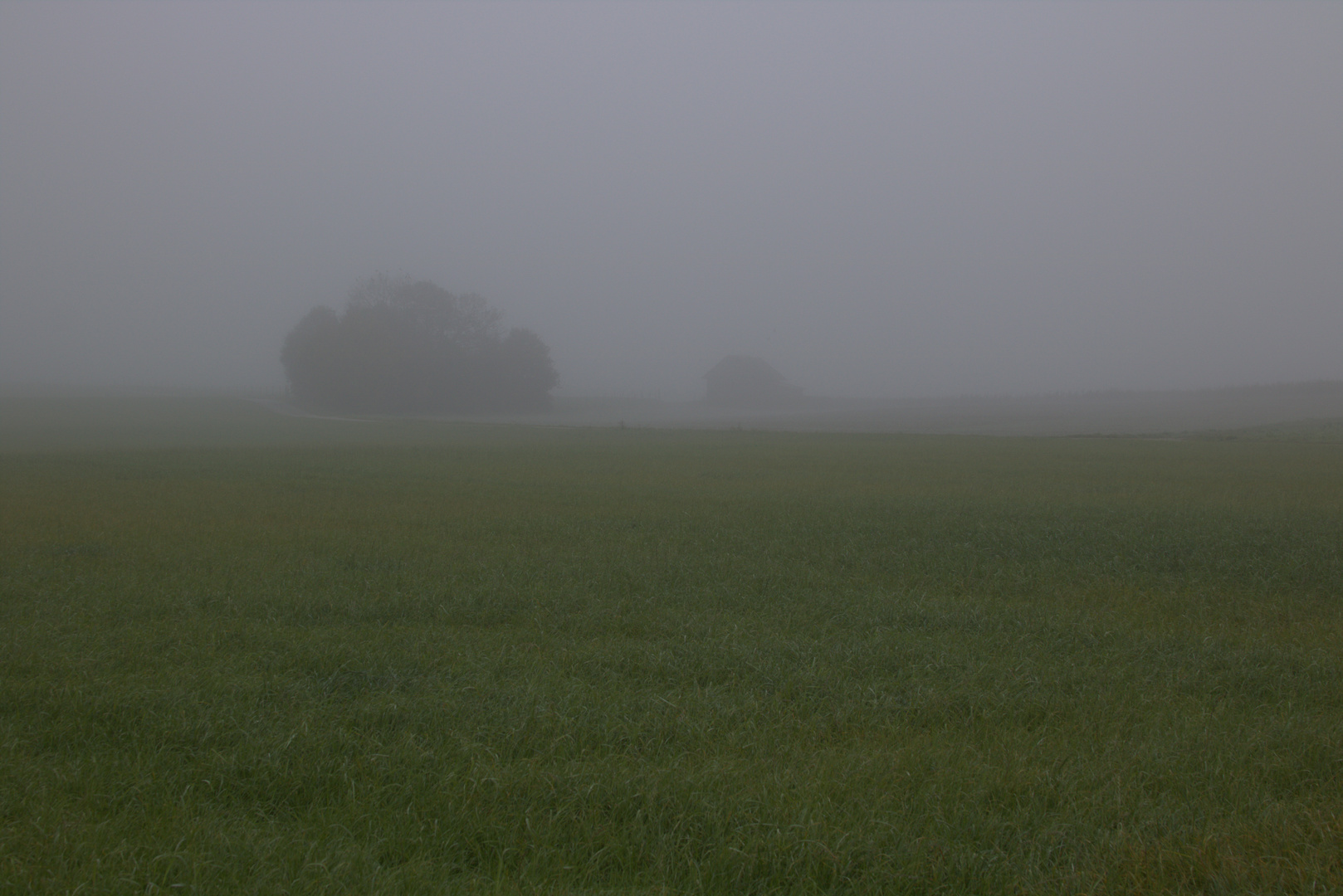 Nebelherbst - Herbstnebel 2