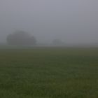 Nebelherbst - Herbstnebel 2