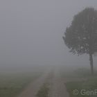 Nebelherbst - Herbstnebel