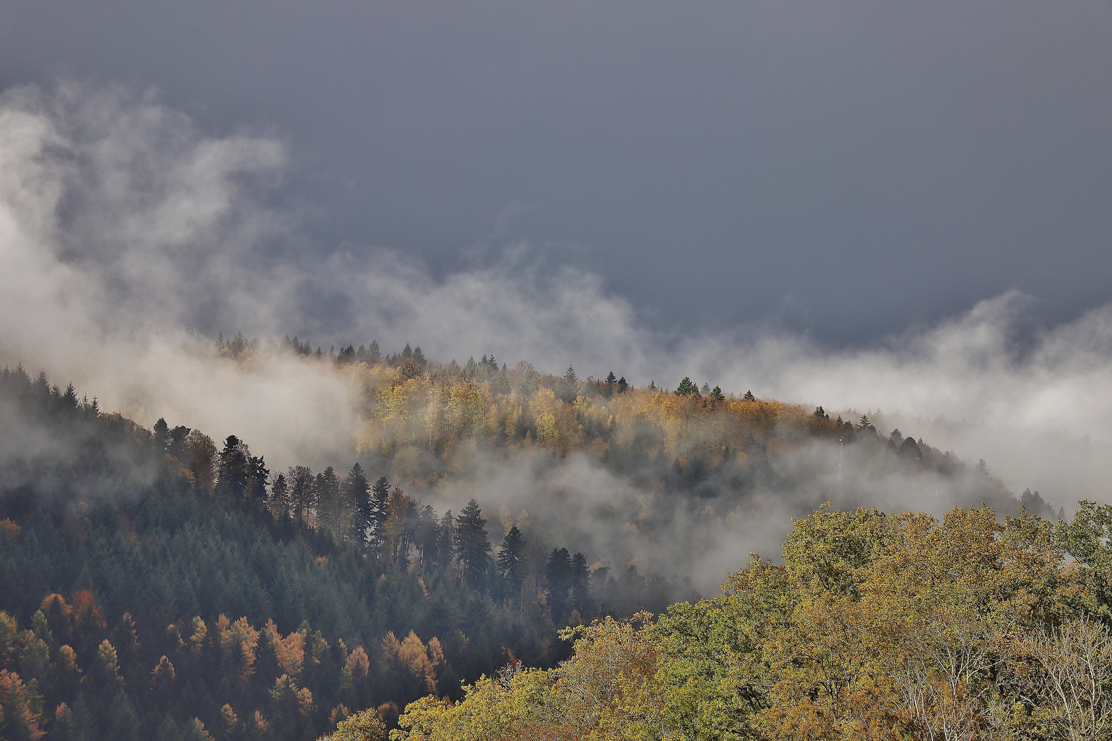 Nebelherbst im Nordschwarzwald