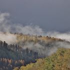 Nebelherbst im Nordschwarzwald