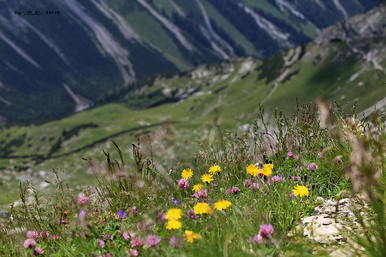 Nebelhorn 2