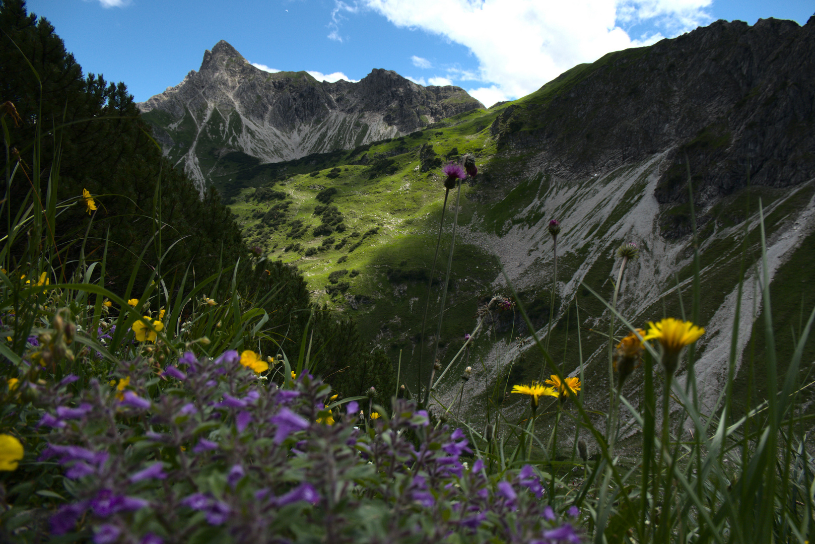 Nebelhorn