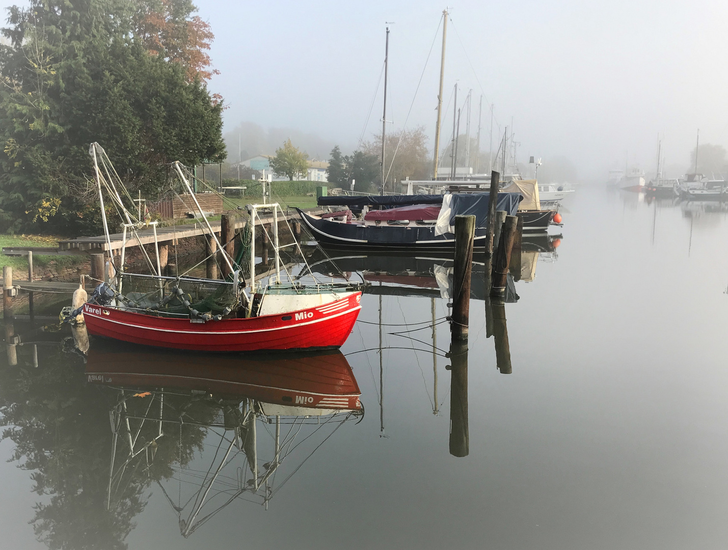 Nebelidylle am Vareler Hafen