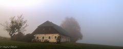 Nebelig trüb ...