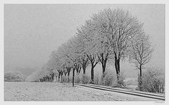 - nebelig und kalt -