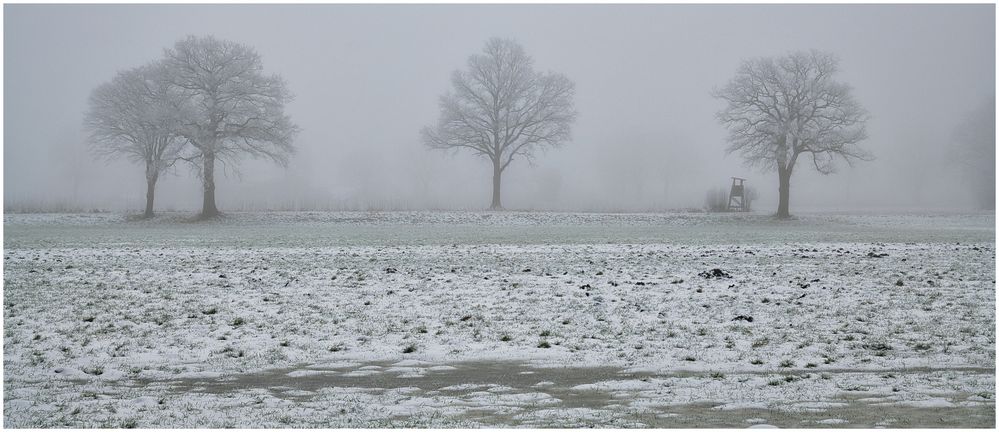 nebelig und kalt