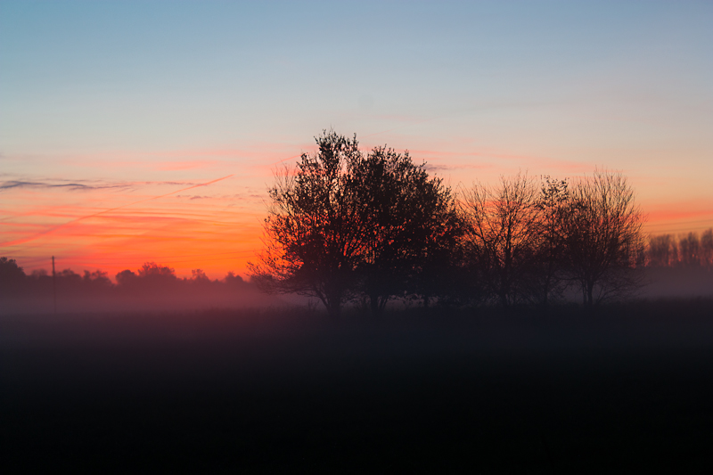 Nebelige Abenddämmerung