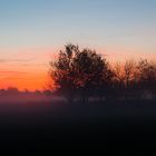 Nebelige Abenddämmerung