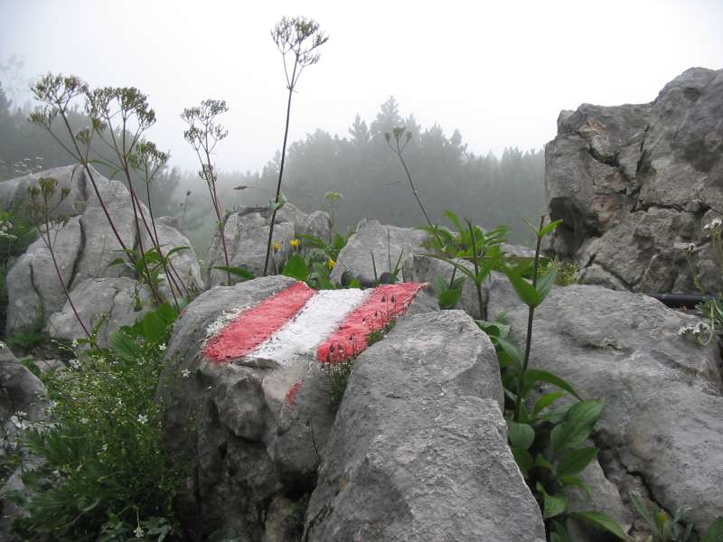 Nebelige Berge