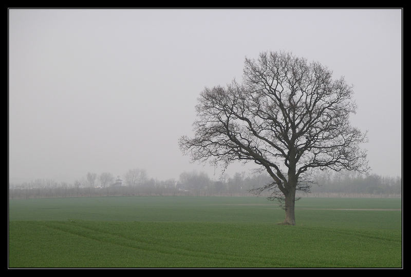 Nebelige Herbststimmung