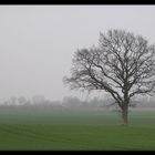 Nebelige Herbststimmung